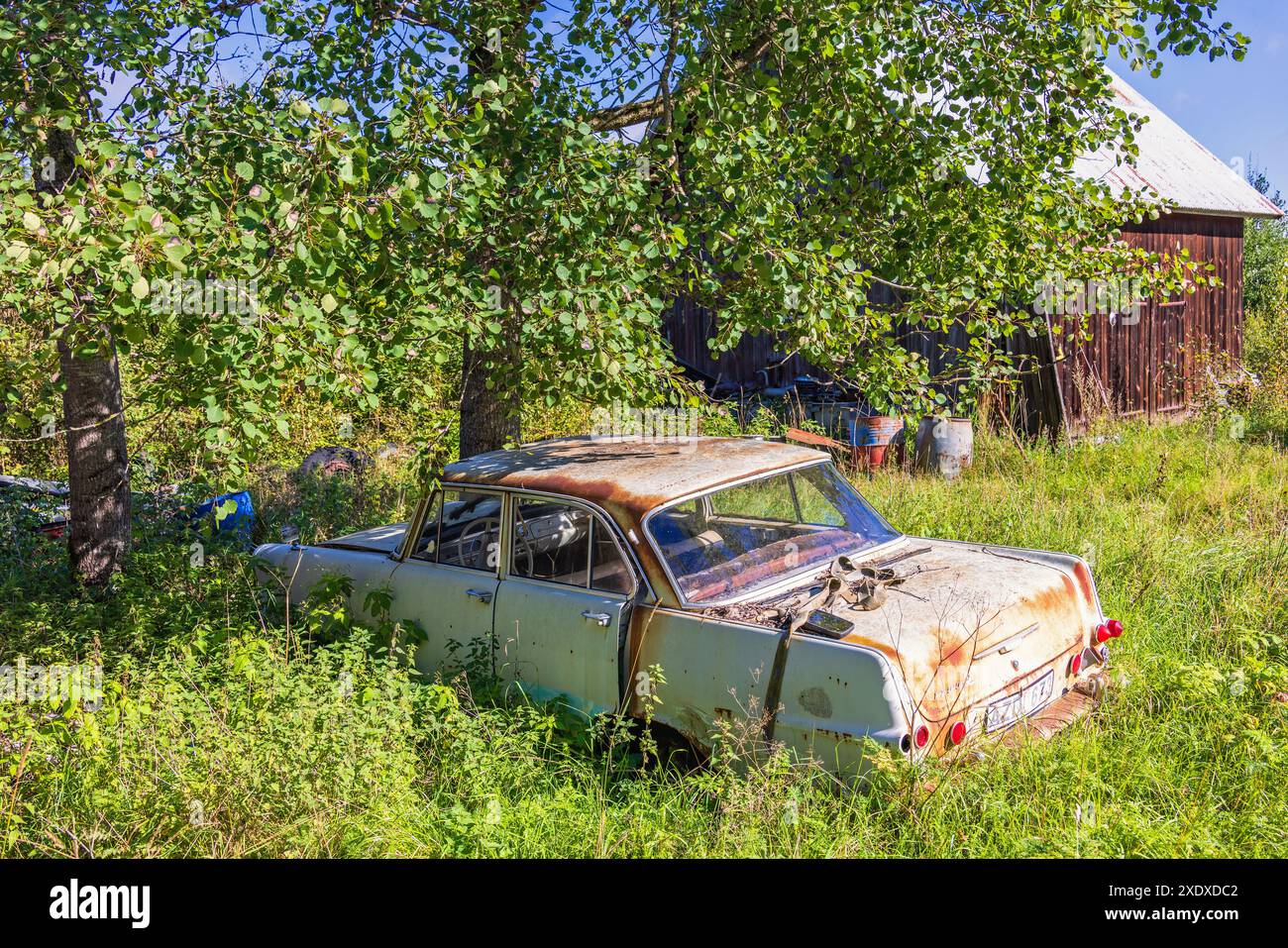 Vieille voiture rouillée sous un arbre dans la campagne Banque D'Images