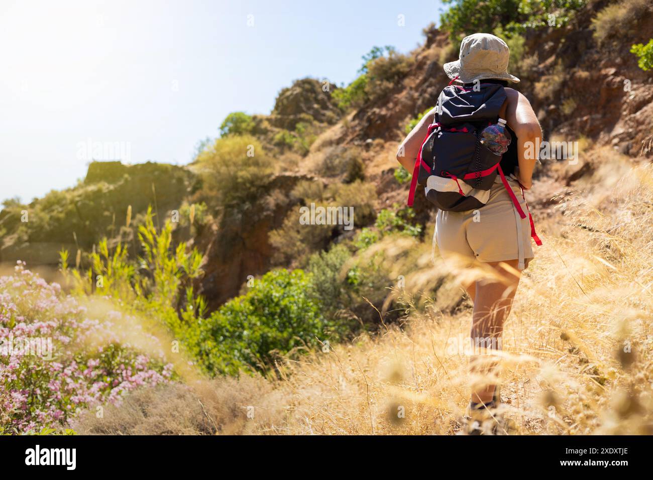 Femme portant un chapeau et sac à dos randonnée à travers un terrain de montagne ensoleillé, entouré de verdure et de fleurs. Capture l'aventure en plein air et la nature Banque D'Images