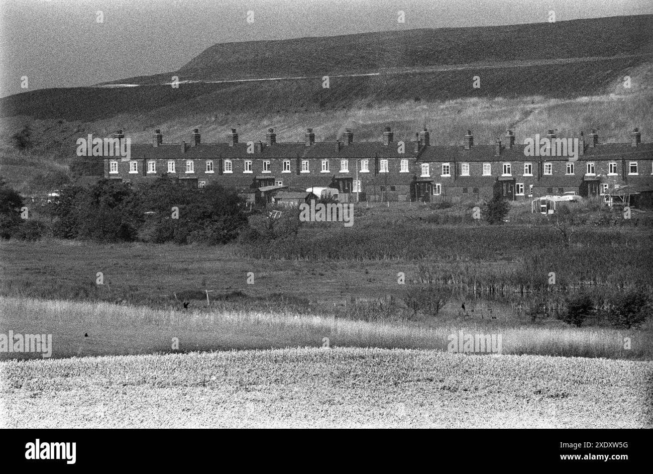 Chalets mineurs une rangée de maisons familiales dans Faith Street, NUM Miners Housing, scories - tas de pourriture en arrière-plan, connu localement sous le nom de «Pit Tips» ou «Muck Stacks». South Kirkby, Yorkshire Angleterre 1979. ANNÉES 1970 ROYAUME-UNI HOMER SYKES Banque D'Images