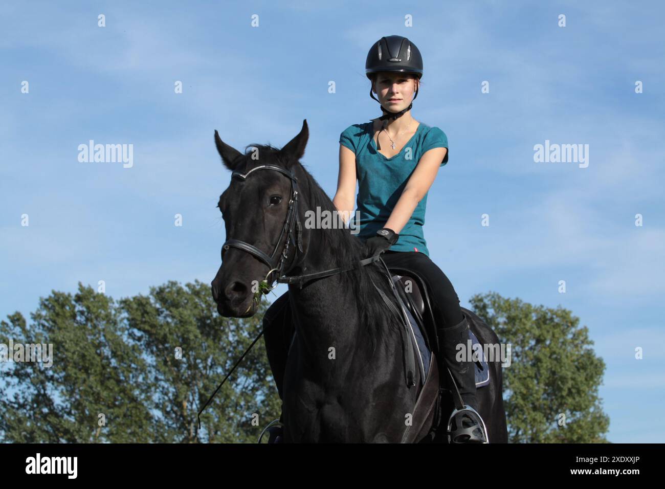 Fille au dos d'un poney Banque D'Images