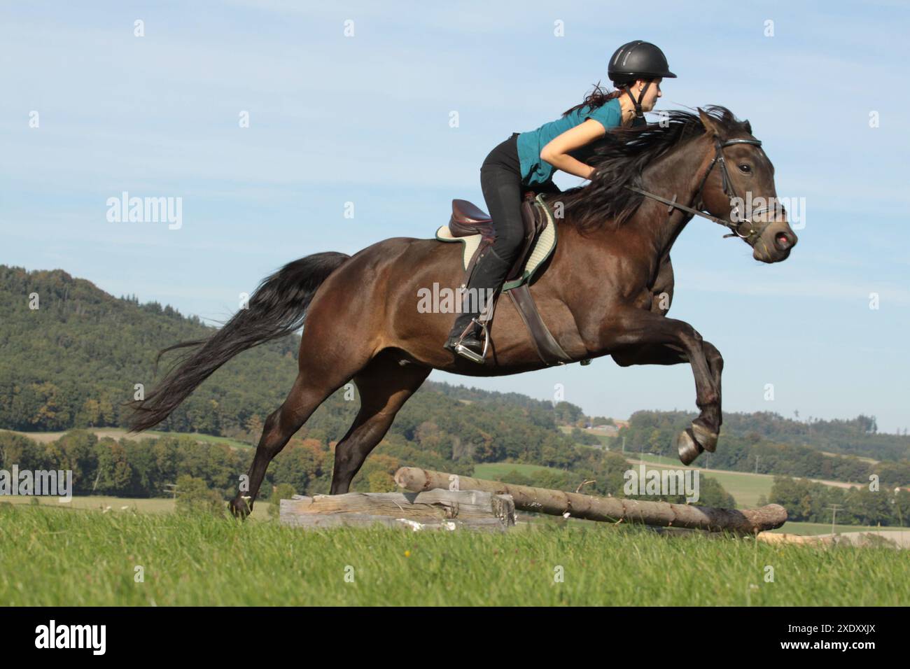 Sauter sur le dos d'un poney Banque D'Images