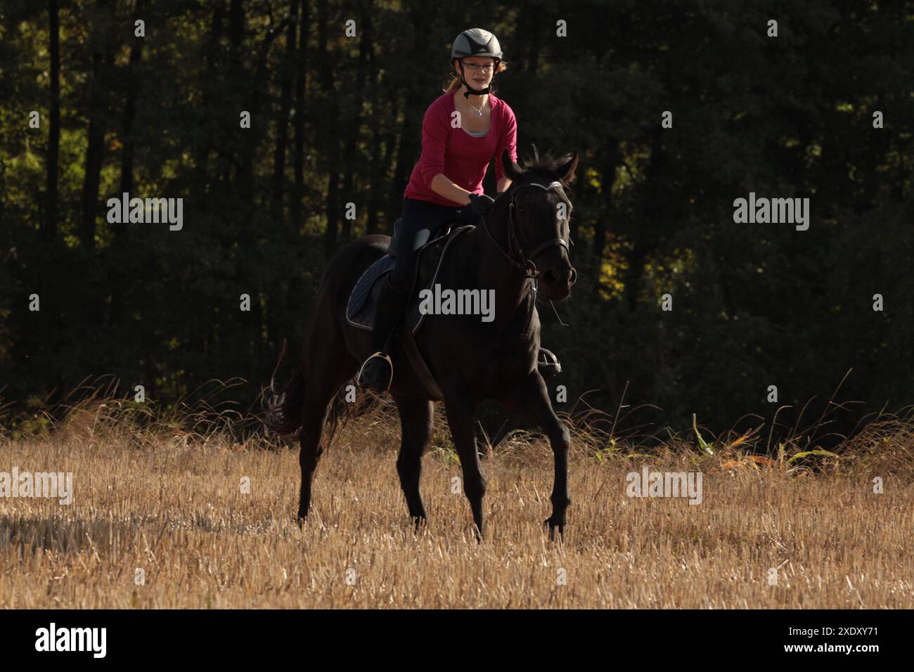 Balade à cheval sur un Stubbelfield Banque D'Images