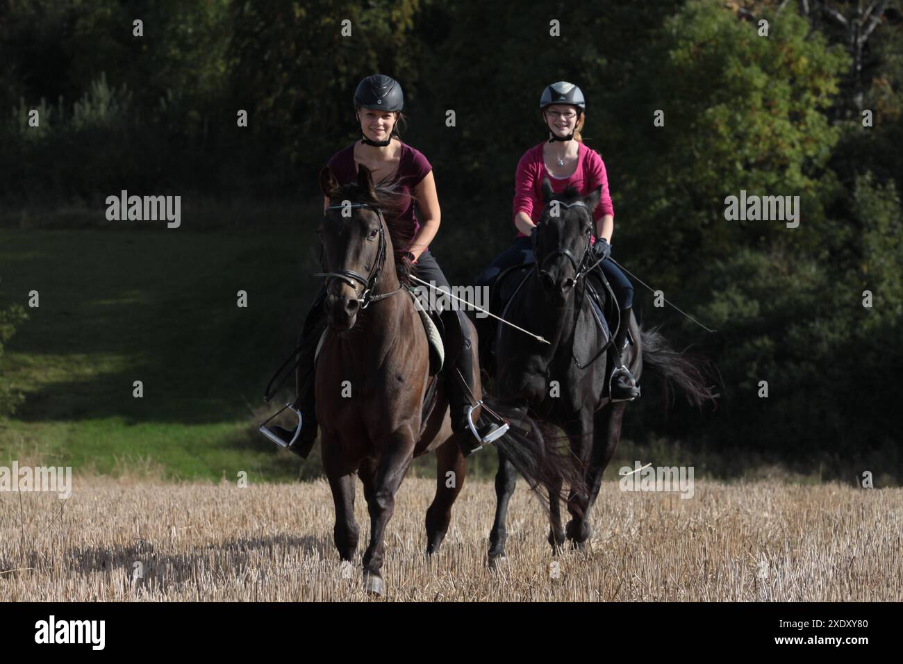 Balade à cheval sur un stubblefield Banque D'Images