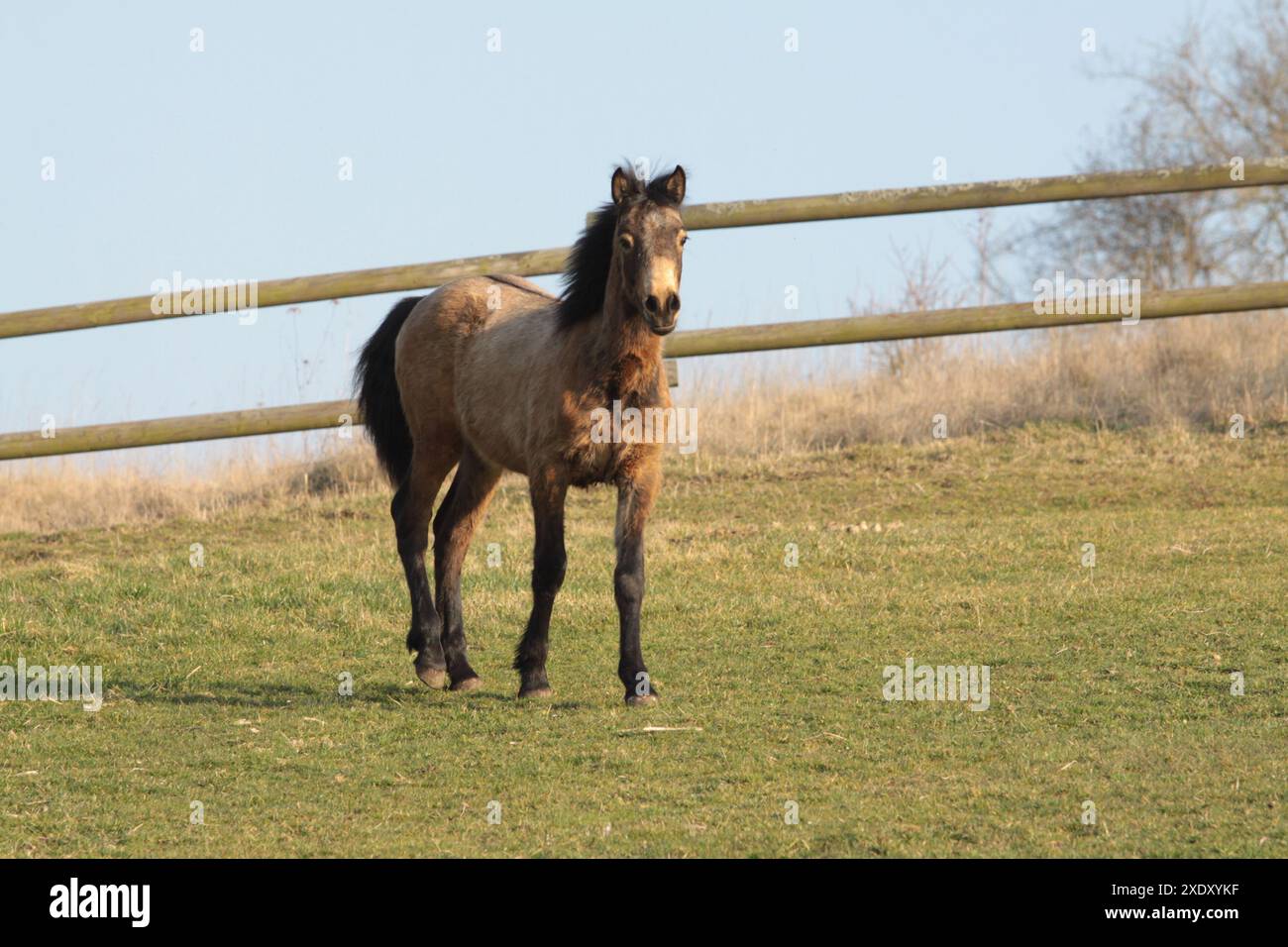 Mixed Race Banque D'Images