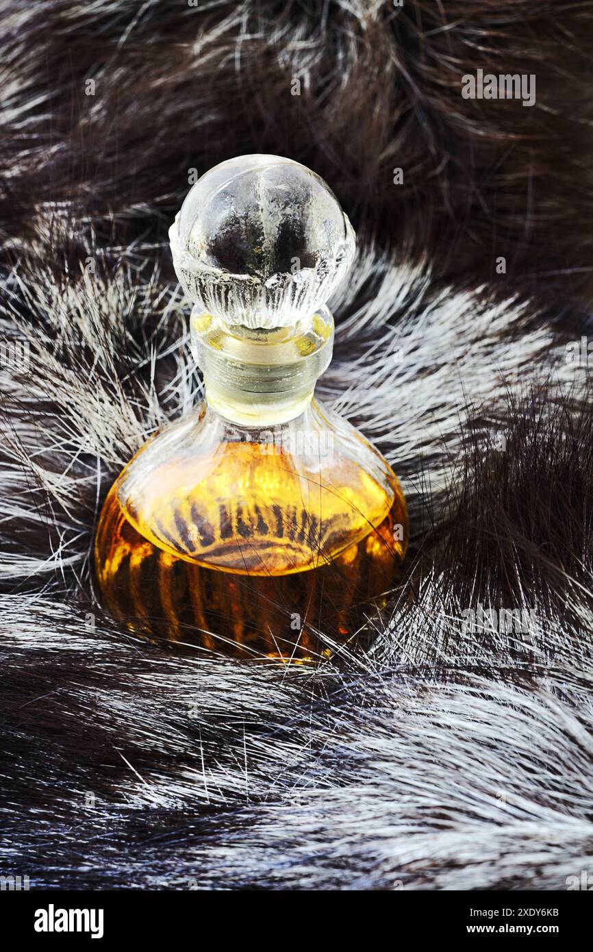 Bouteille vintage de parfum et fourrure Banque D'Images