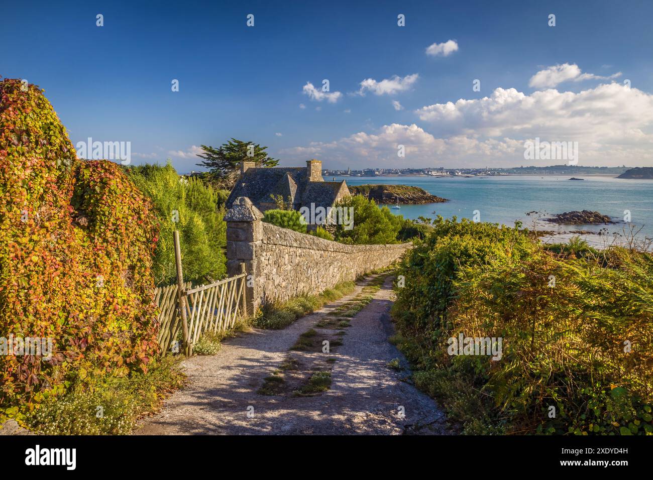 Géographie / voyage, France, Bretagne, chemin vers le port de l'Ile de Batz, ADDITIONAL-RIGHTS-LEARANCE-INFO-NOT-AVAILABLE Banque D'Images