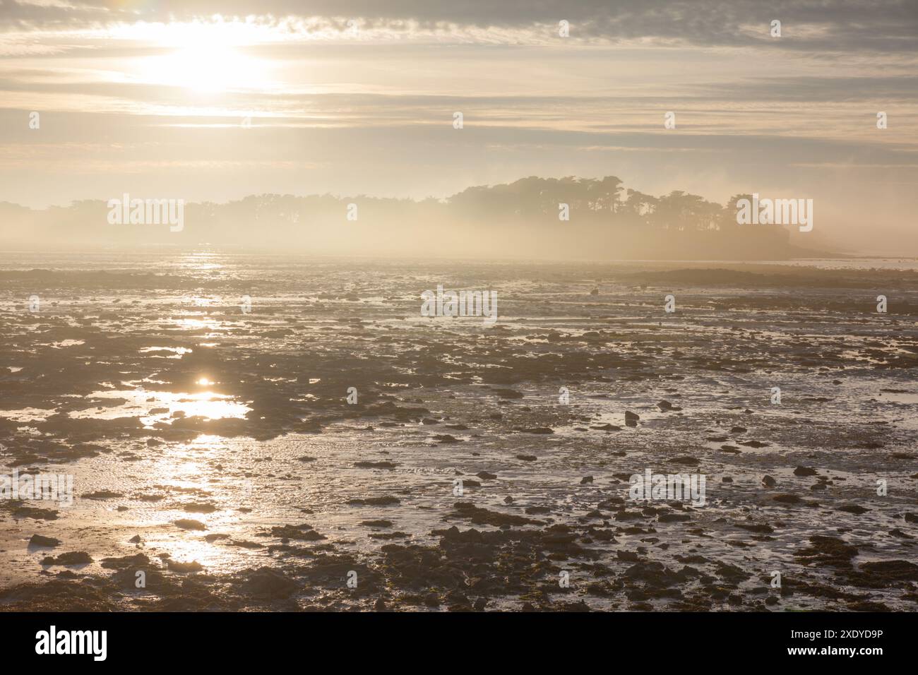 Géographie / voyage, France, Bretagne, paysage brumeux Ar Roscoff Pier, ADDITIONAL-RIGHTS-CLEARANCE-INFO-NOT-AVAILABLE Banque D'Images