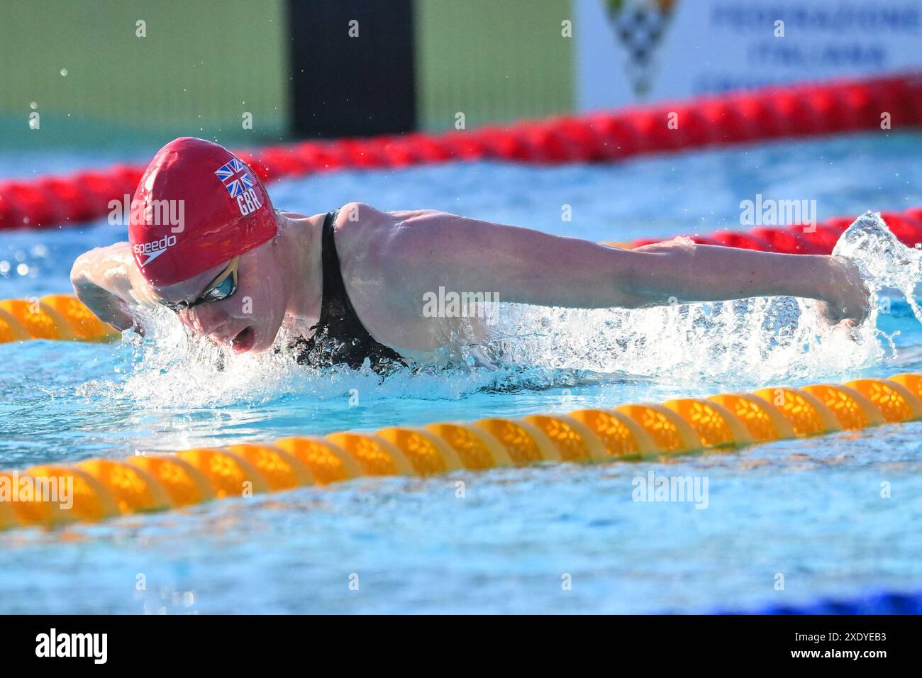 Laura Kathleen Stephens, de Grande-Bretagne, participe à la finale féminine du 200 m papillon lors du 60e meeting de natation Settecolli au stadio del Nuoto à Rome (Italie), le 23 juin 2024. Banque D'Images