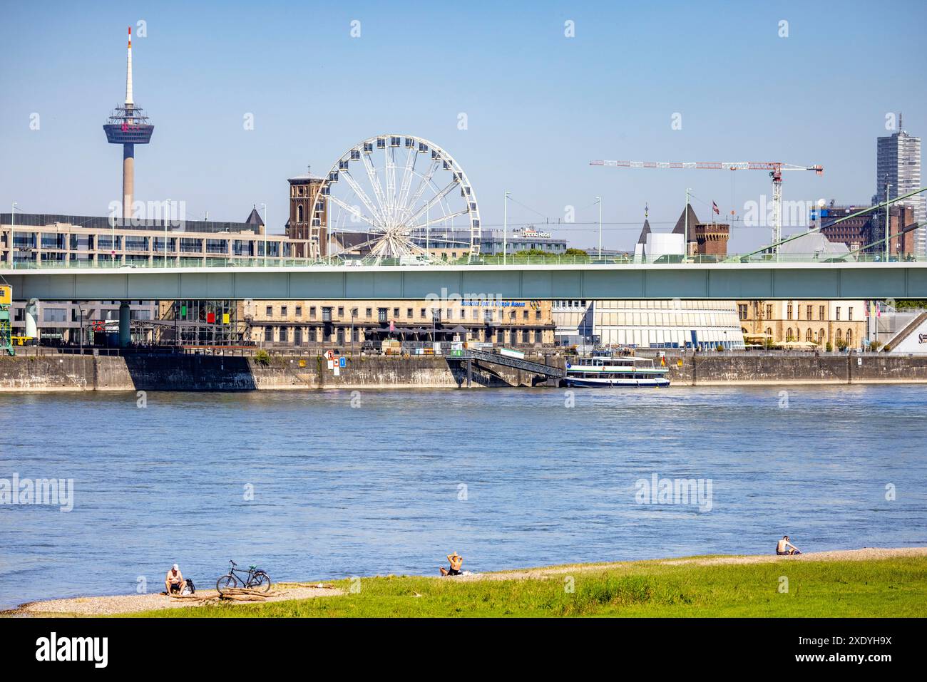 Cologne, Allemagne. 25 juin 2024. Les gens prennent le soleil sur les rives du Rhin sur le Poller Wiesen. Crédit : Thomas Banneyer/dpa/Alamy Live News Banque D'Images