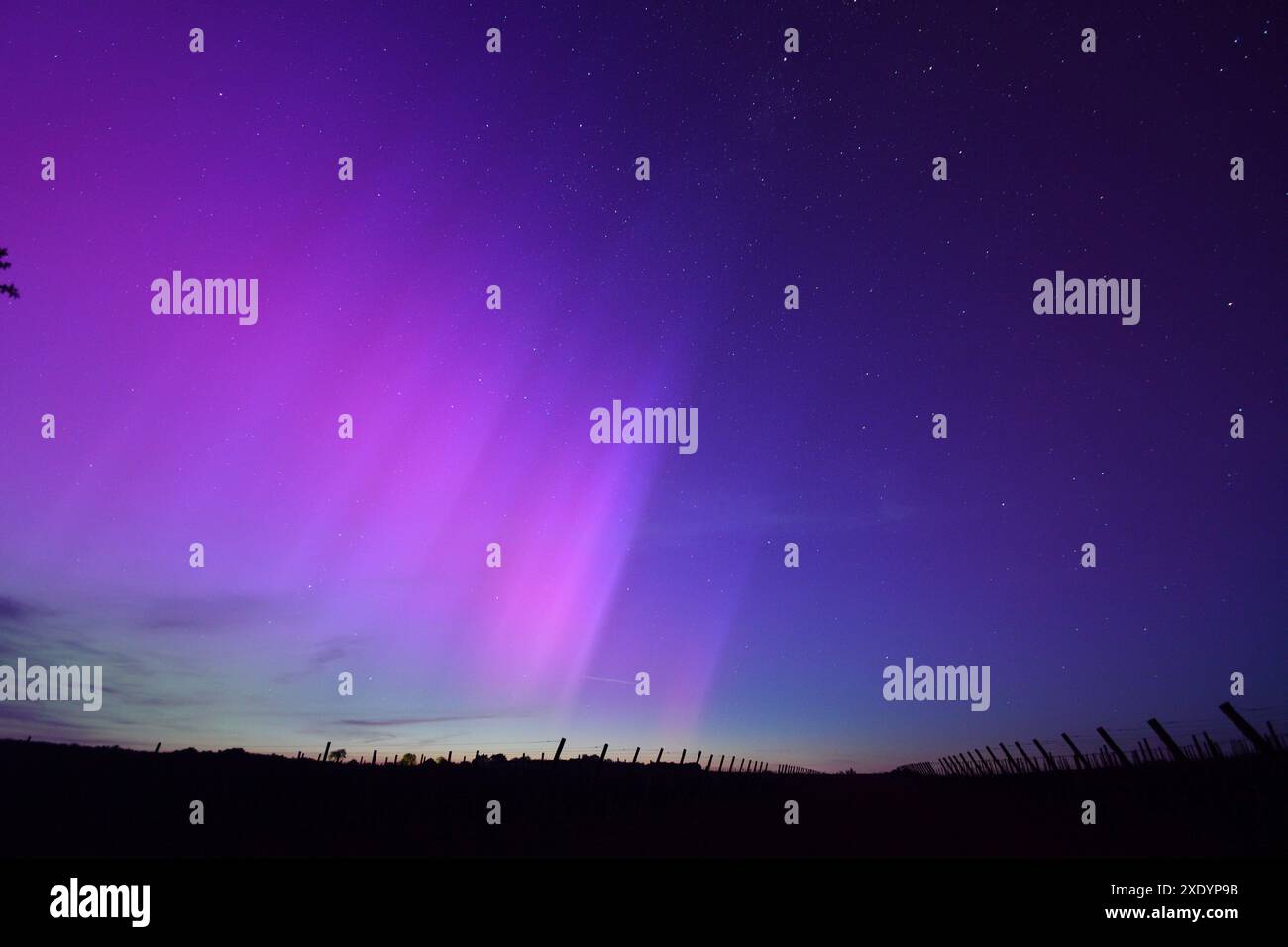 Lumières polaires au-dessus d'un vignoble, France, Bretagne, Erquy Banque D'Images