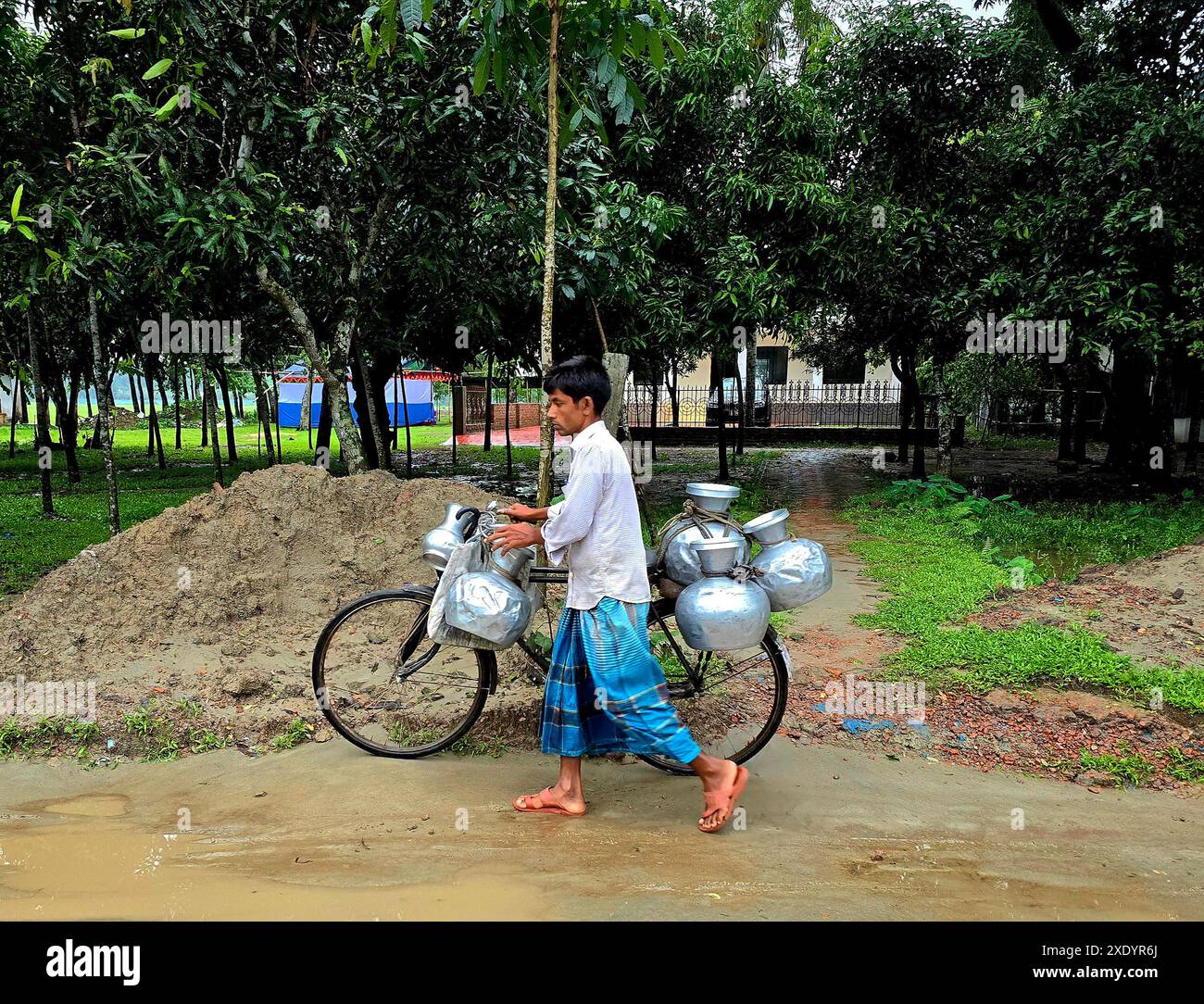 Un laitier sur un vélo, avec des bidons de lait où des jacinthes d'eau sont utilisées à l'intérieur de la bidon pour empêcher le lait de se répandre, sont une vue régulière dans les villages ruraux où le lait frais est consommé par tous les villageois des fermes laitières voisines. Netrokona, Bangladesh. Banque D'Images