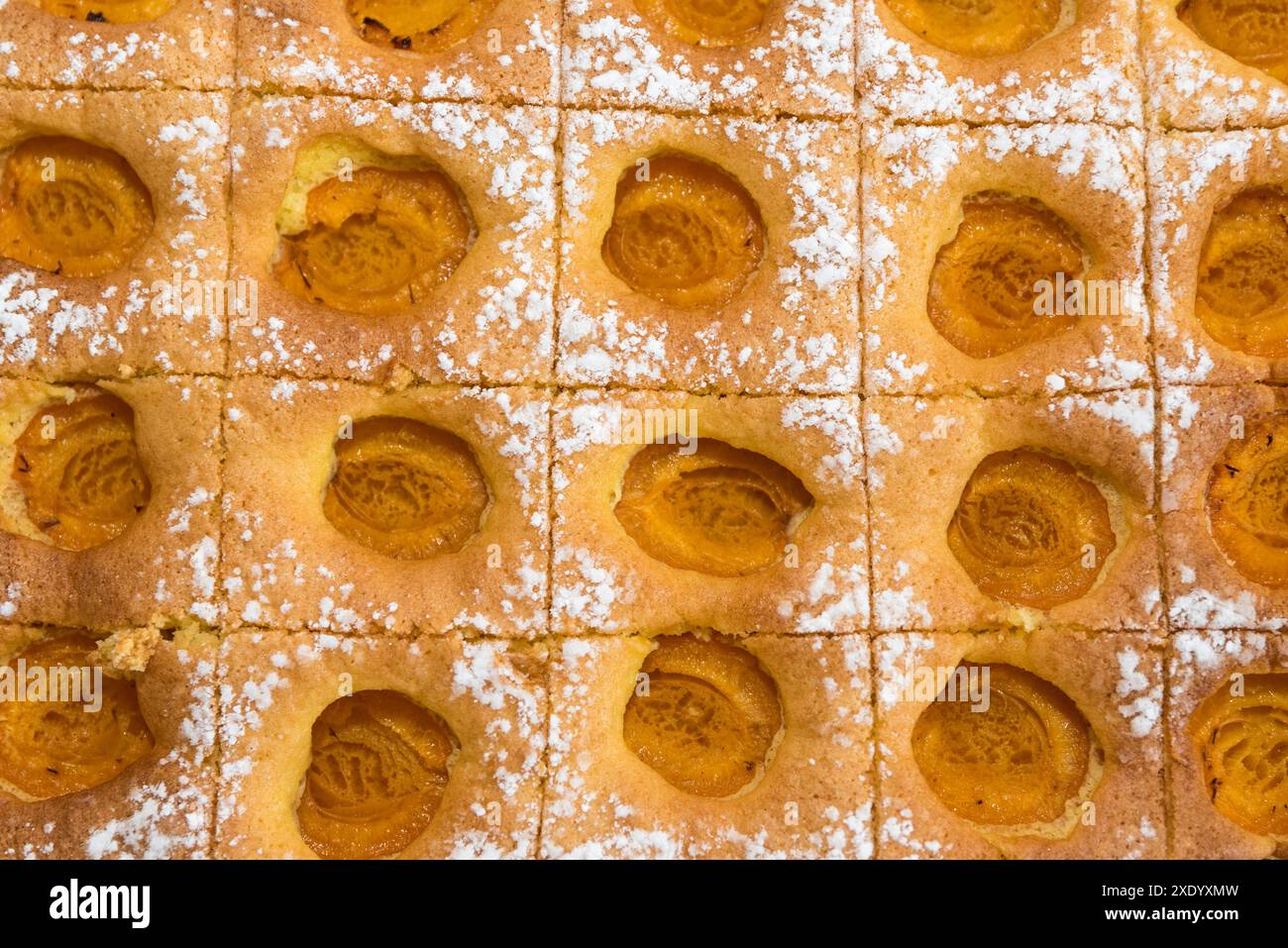 Gâteau en feuille aux abricots - gâteau aux fruits humide à base de gâteau éponge Banque D'Images