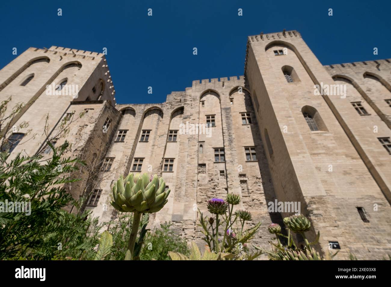 Avignon France. Jardin de l'impressionnant Palais des Papes, Palais des Papes, dans la vieille ville d'Avignon., Avignon, Provence, sud de la France. Banque D'Images