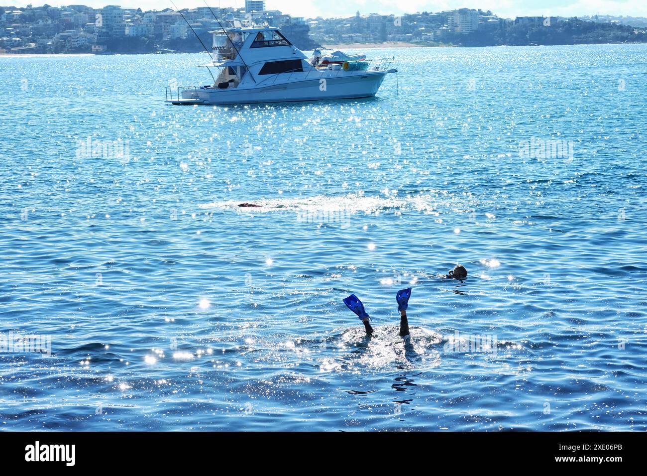 Un plongeur jambes et palmes sortant de l'eau à la réserve aquatique de Cabbage Tree Bay près de la piscine océanique de Fairy Bower à Manly, Sydney, Australie Banque D'Images