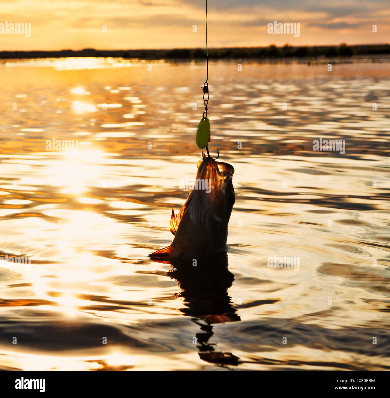 Au coucher du soleil, pêche Banque D'Images