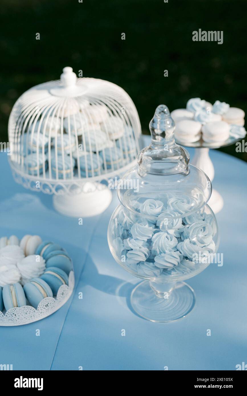 Buffet de bienvenue avec alcool et collations, sandwichs, cupcakes Banque D'Images