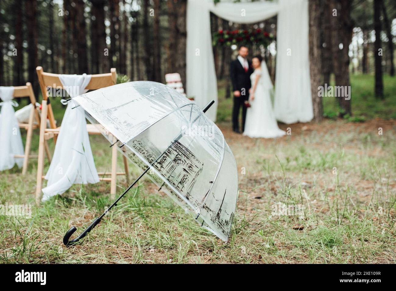 Cérémonie de mariage dans les bois parmi les arbres sur la piste verte Banque D'Images