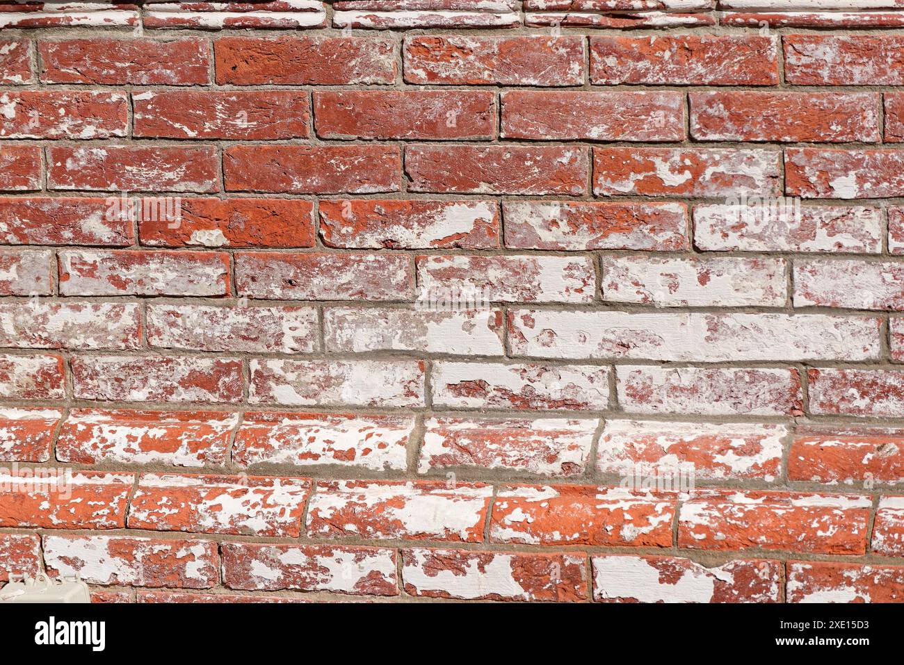 Mur de briques précédemment peint avec des restes de peinture blanche sur des briques d'argile rouge. Banque D'Images