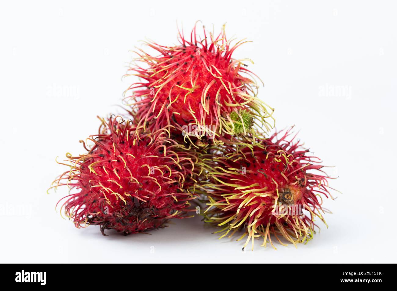 Fruits de ramboutan pileux rouges isolés sur fond blanc de studio Banque D'Images