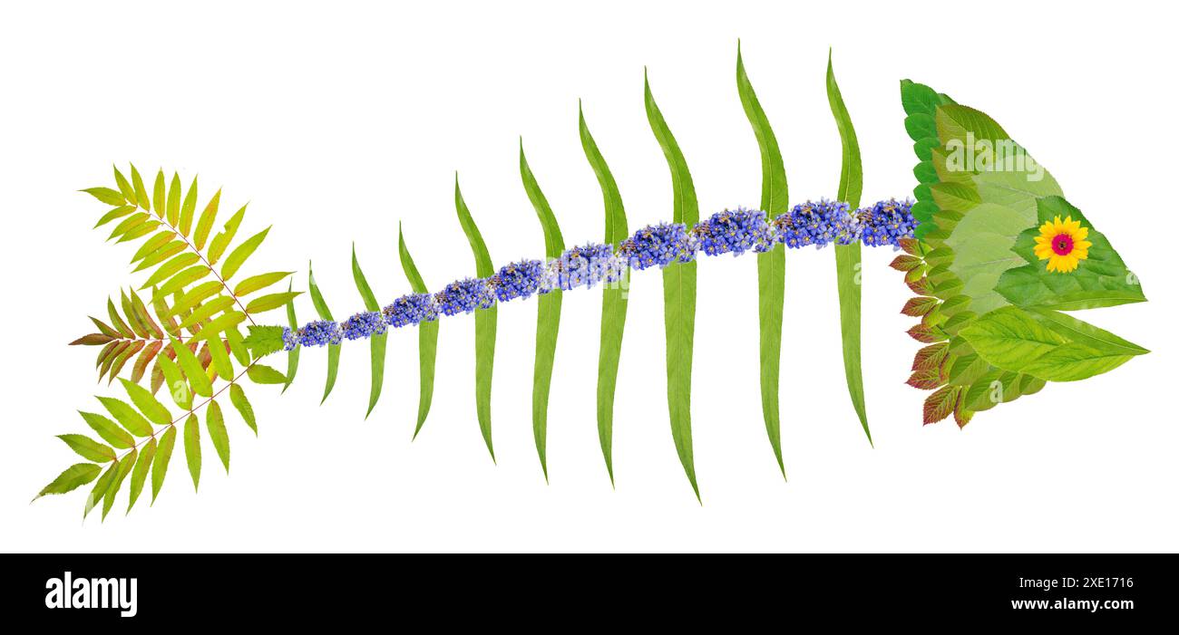 Squelette de poisson fait de feuilles vertes et de fleurs isolées Banque D'Images