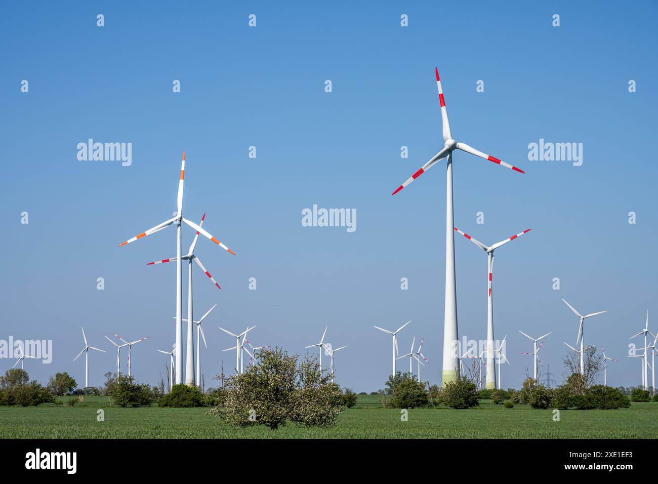 De nombreuses éoliennes dans un paysage agricole en Allemagne Banque D'Images