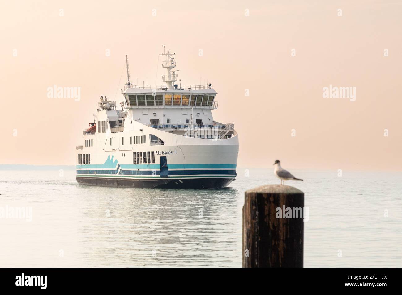 Le traversier Pelée Islander II arrive à Leamington, Ontario, Canada, après une traversée de 90 minutes depuis Pelée Island, dans le lac Érié. Banque D'Images