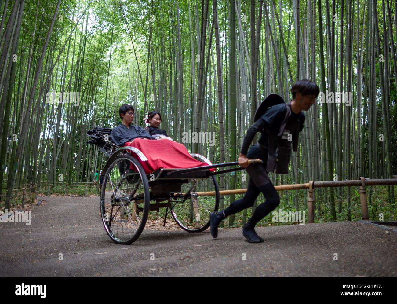 Tokyo, Japon. 25 juin 2024. Un pousse-pousse tire la charrette Jinrikisha avec des touristes dans la région d'Arashiyama. Le pousse-pousse japonais ou Jinrikisha est un transport traditionnel par chariot avec un guide qui le tire autour, servant comme un autre symbole emblématique du Japon et populaire parmi les touristes. Crédit : SOPA images Limited/Alamy Live News Banque D'Images