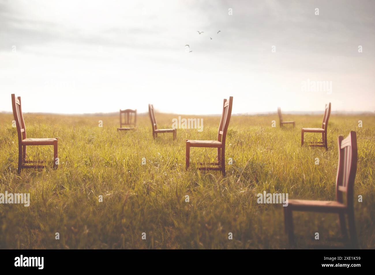 chaises vides surréalistes abandonnées dans un champ, concept abstrait Banque D'Images