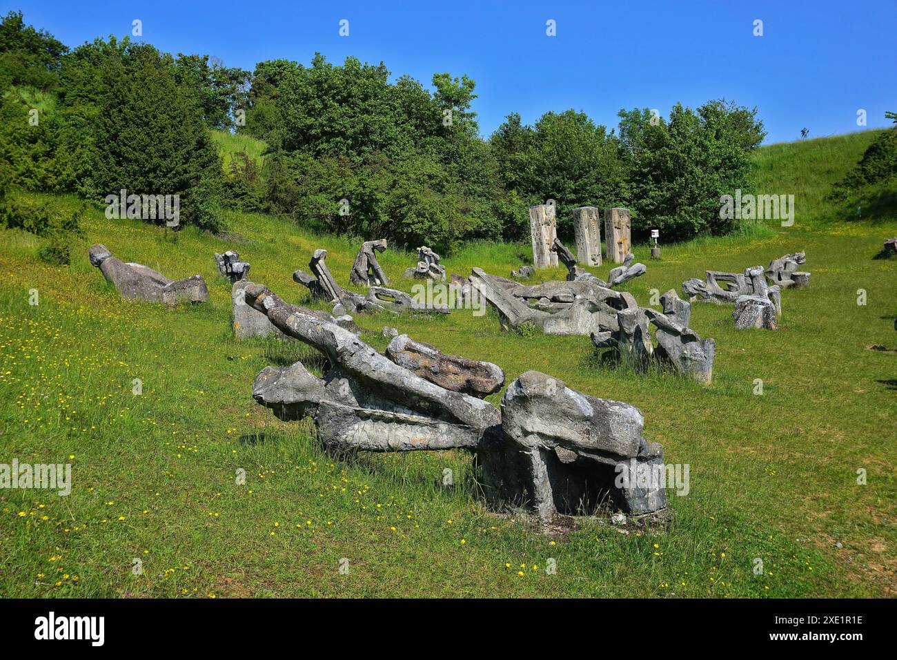 Champ de figurines près de EichstÃ¤tt dans le parc naturel de AltmÃ¼hltal, haute-Bavière, Allemagne Banque D'Images