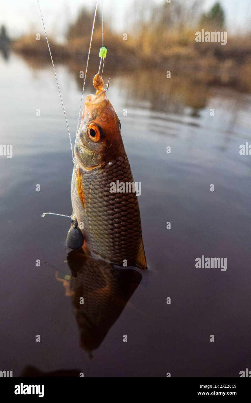 Jeu de pêche sur la rivière en soirée Banque D'Images