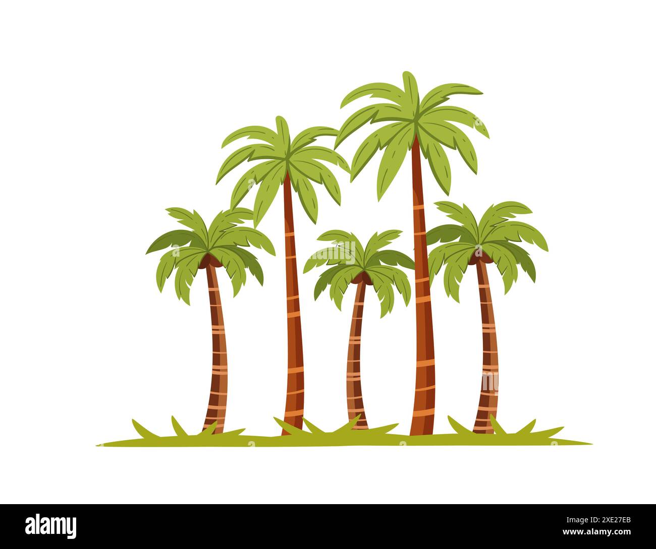 Palmiers verts tropicaux avec des feuilles et des noix de coco illustration vectorielle de dessin animé simple isolé sur un fond blanc. Illustration de Vecteur