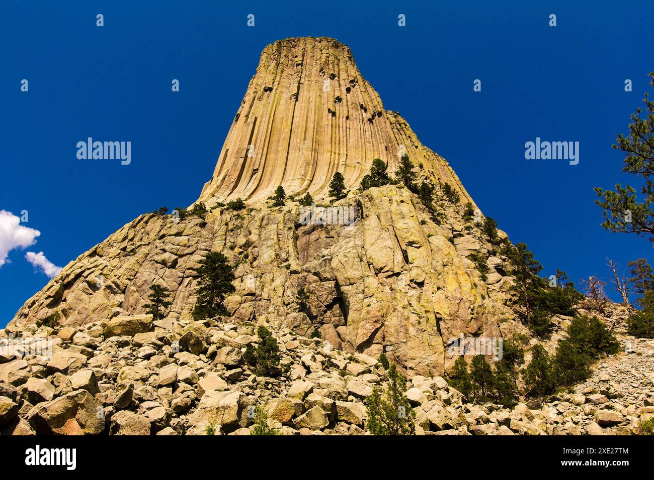 Devil's Tower National Monument, Wyoming Banque D'Images