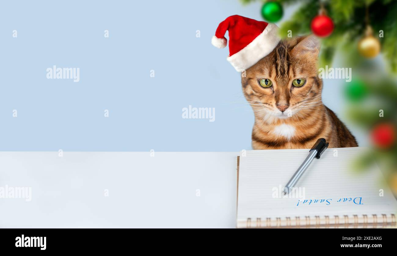 Un chat de Noël dans un chapeau de Père Noël écrit une lettre au Père Noël. Carte de voeux. Banque D'Images