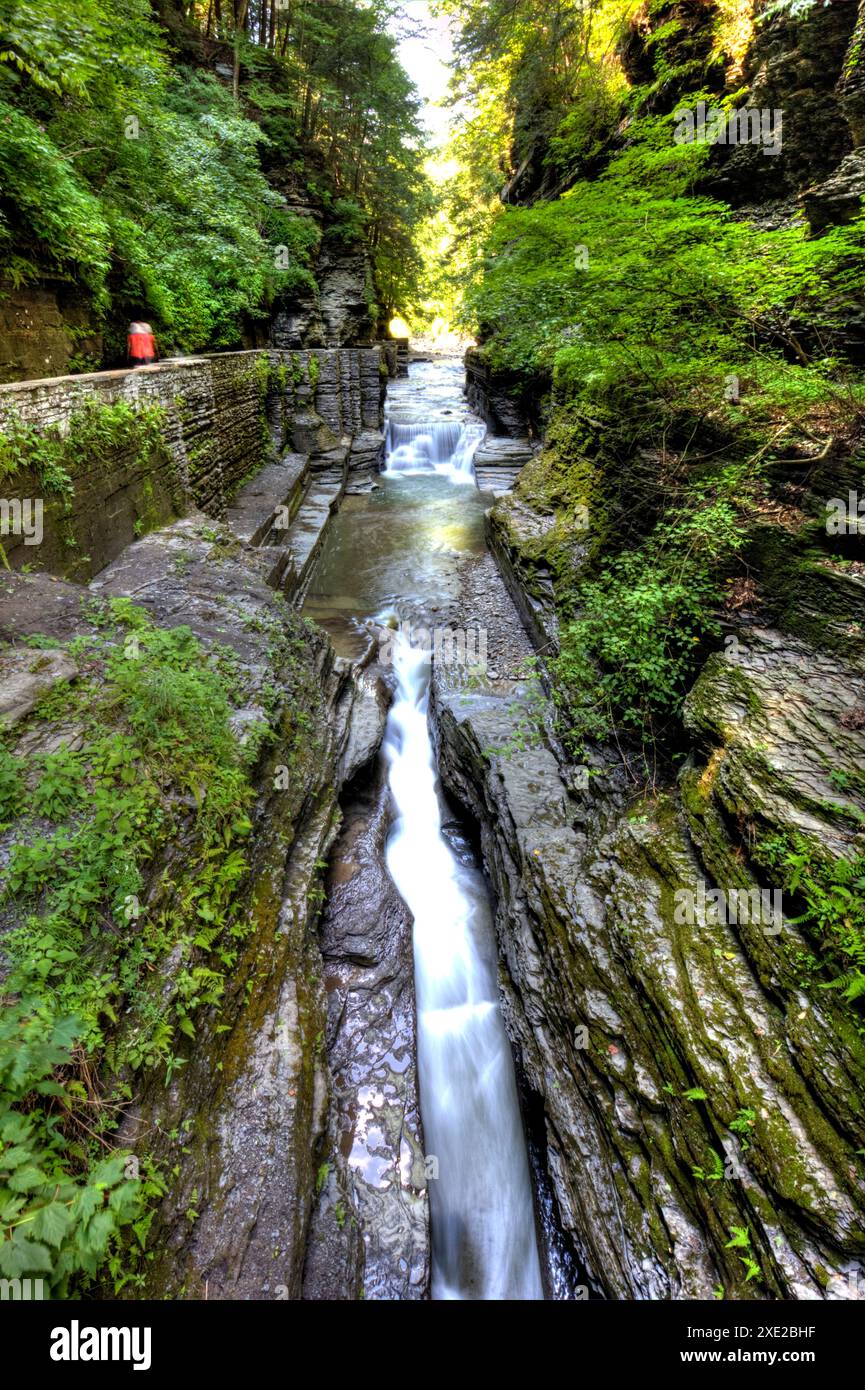 Robert H Treman State Park, New York Banque D'Images