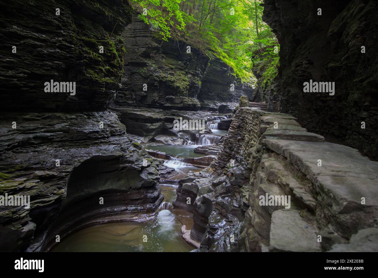 Watkins Glen State Park, New York Banque D'Images