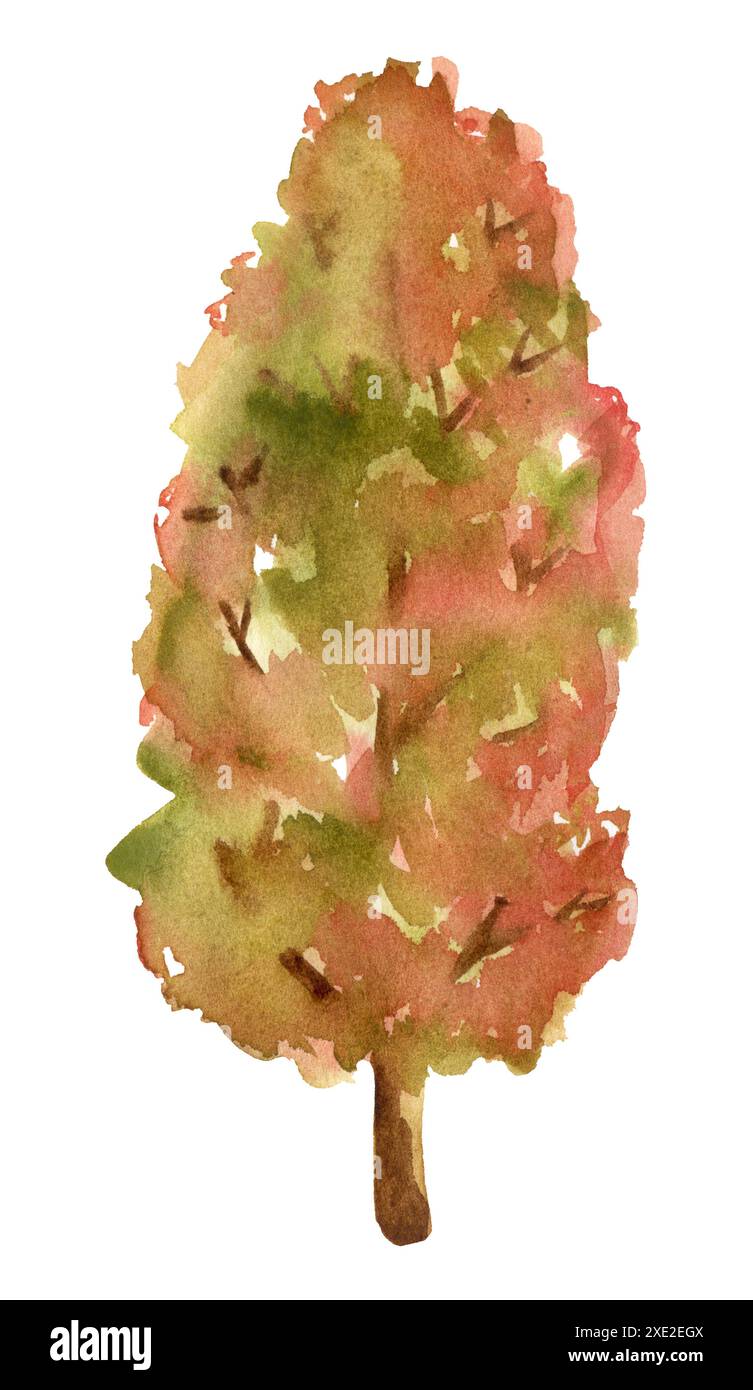 Arbre de forêt aquarelle. Arbre d'automne avec des feuilles rouges et jaunes. Banque D'Images