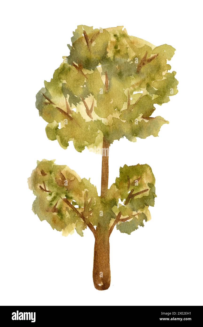 Arbre de forêt aquarelle. Arbre d'automne avec des feuilles rouges et jaunes. Banque D'Images