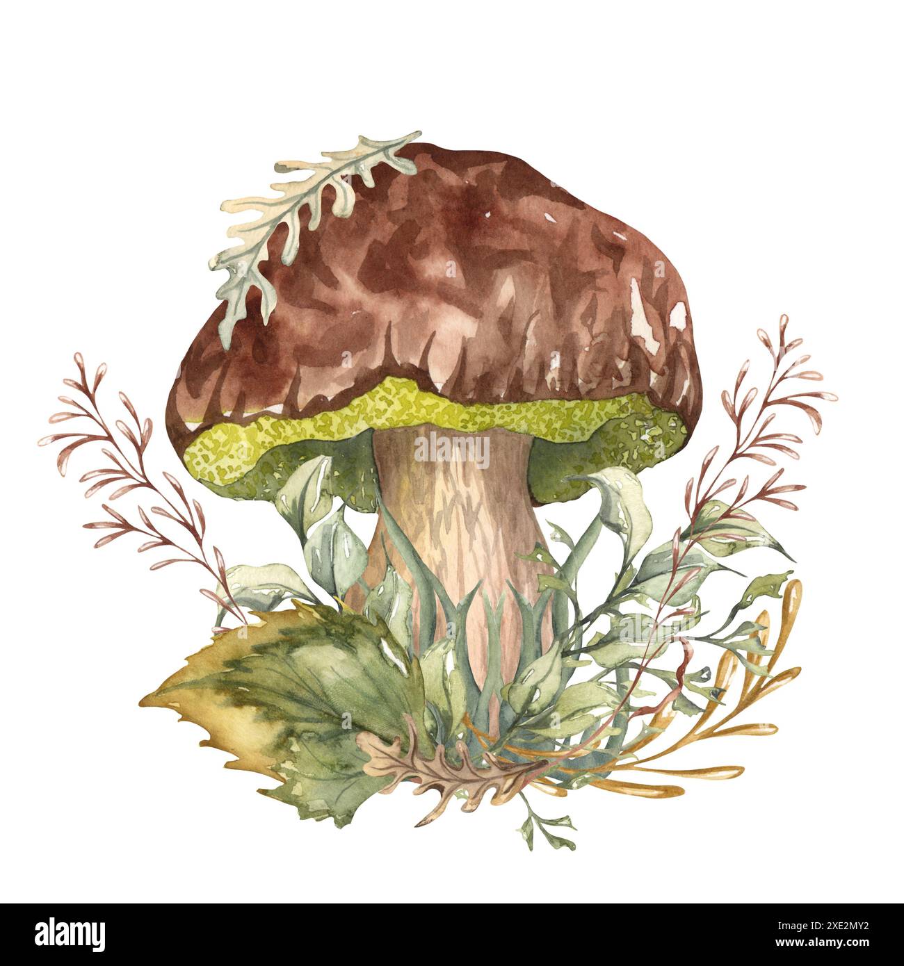 Composition d'automne aquarelle dans le style vintage. Champignons sauvages peints à la main avec des feuilles séchées et des brindilles. Composition forestière Banque D'Images