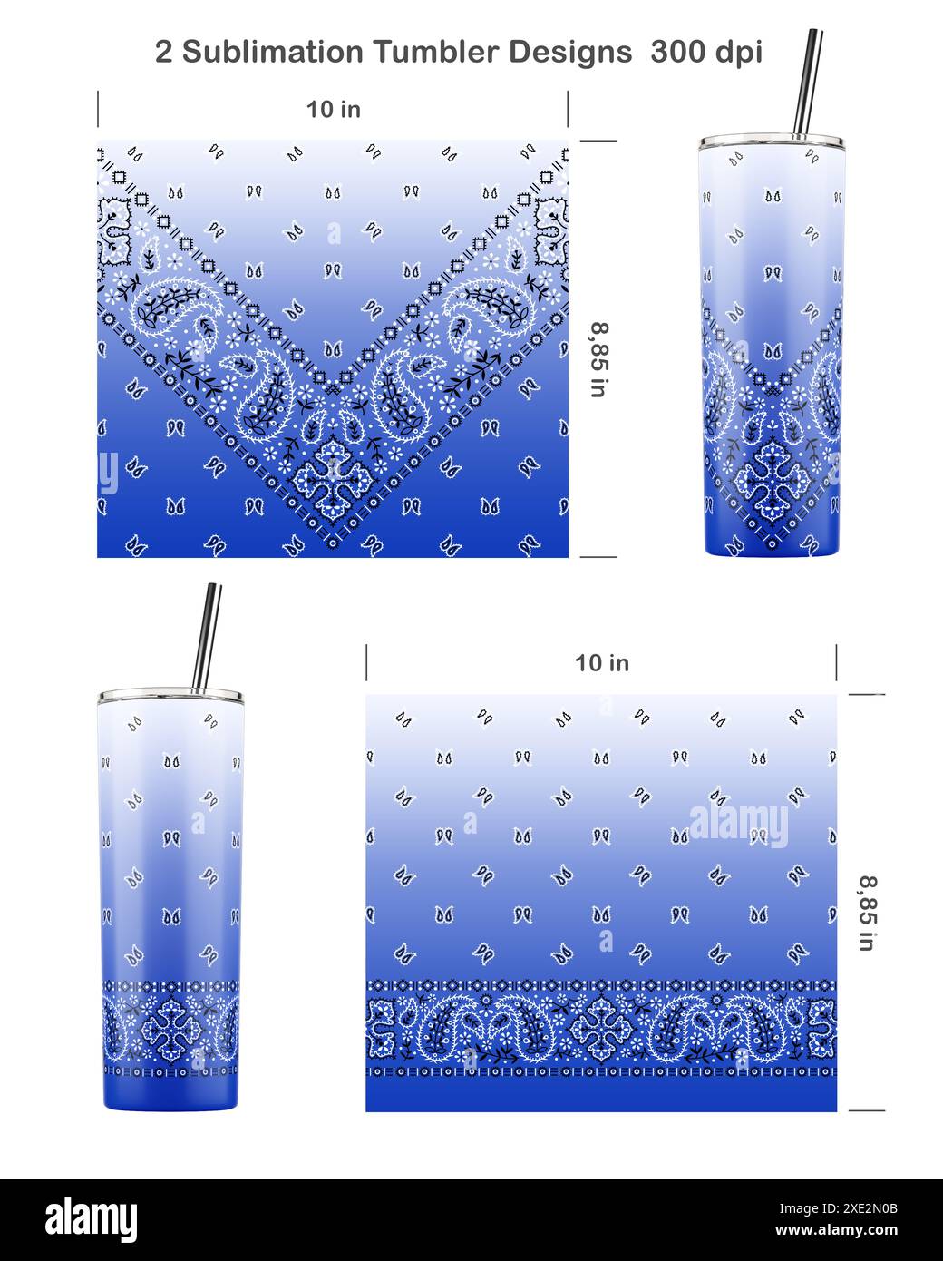 Lot de 2 motifs bandana cachemire ombre. Modèles de sublimation sans couture pour gobelet skinny de 20 oz. Illustration de sublimation. Banque D'Images