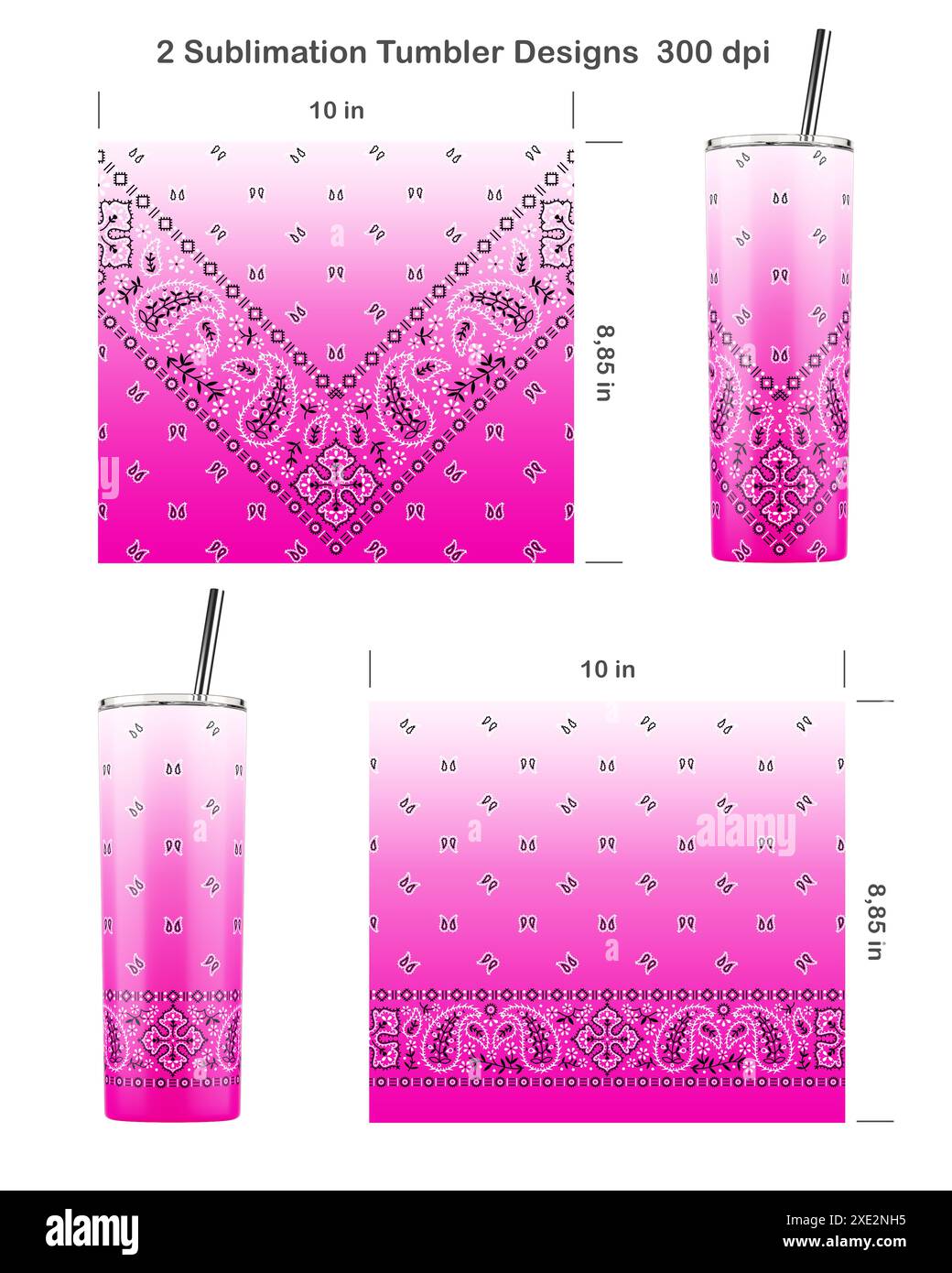 Lot de 2 motifs bandana cachemire ombre. Modèles de sublimation sans couture pour gobelet skinny de 20 oz. Illustration de sublimation. Banque D'Images