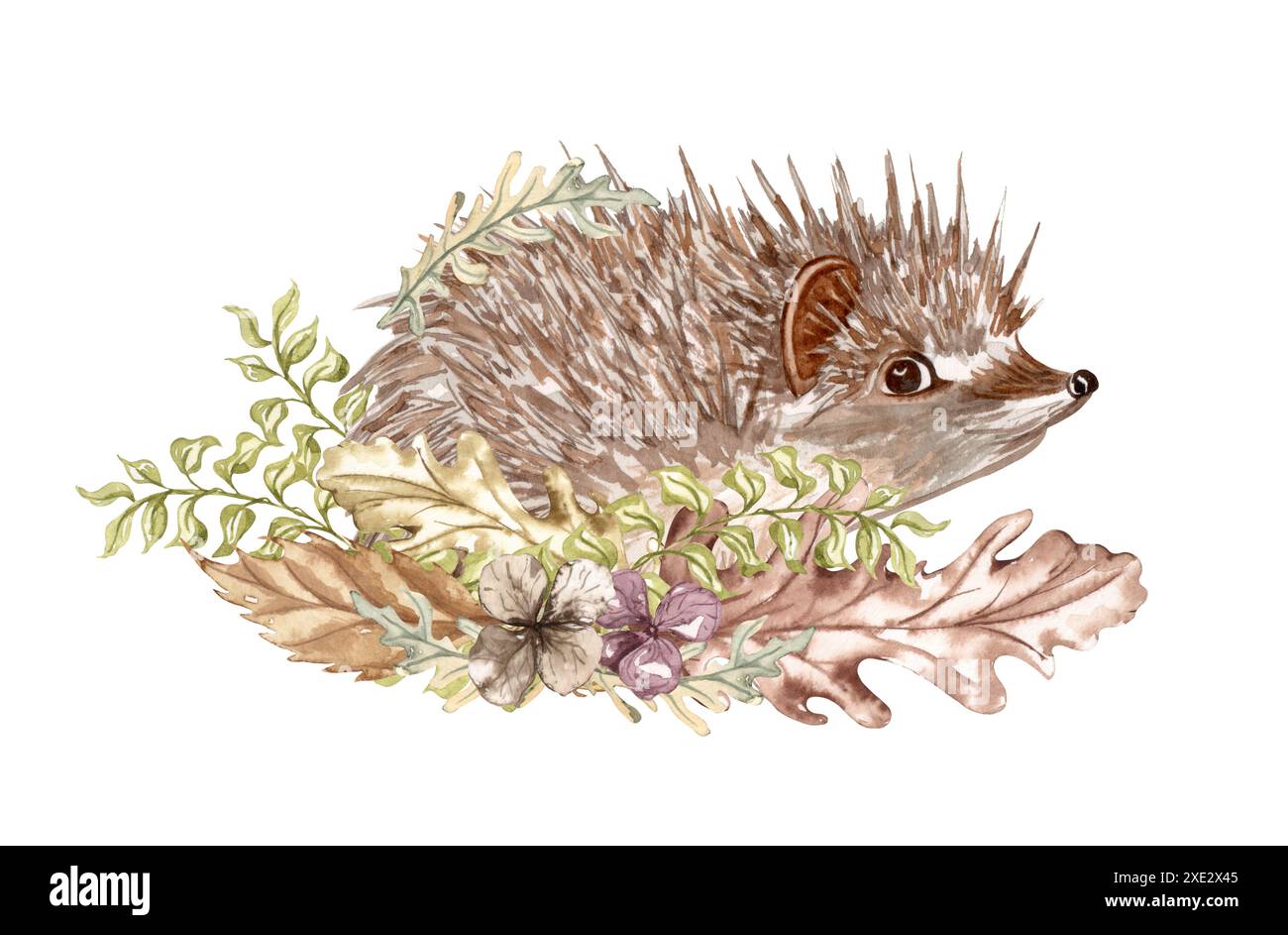 Composition d'automne d'aquarelle dans le style vintage. Illustration d'automne peinte à la main avec des herbes, des feuilles et des champignons de couleur sourde Banque D'Images