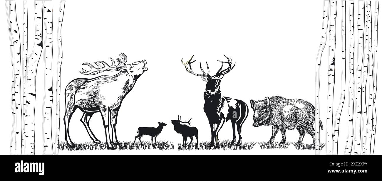 Cerf et sanglier sur l'illustration de prairie Banque D'Images