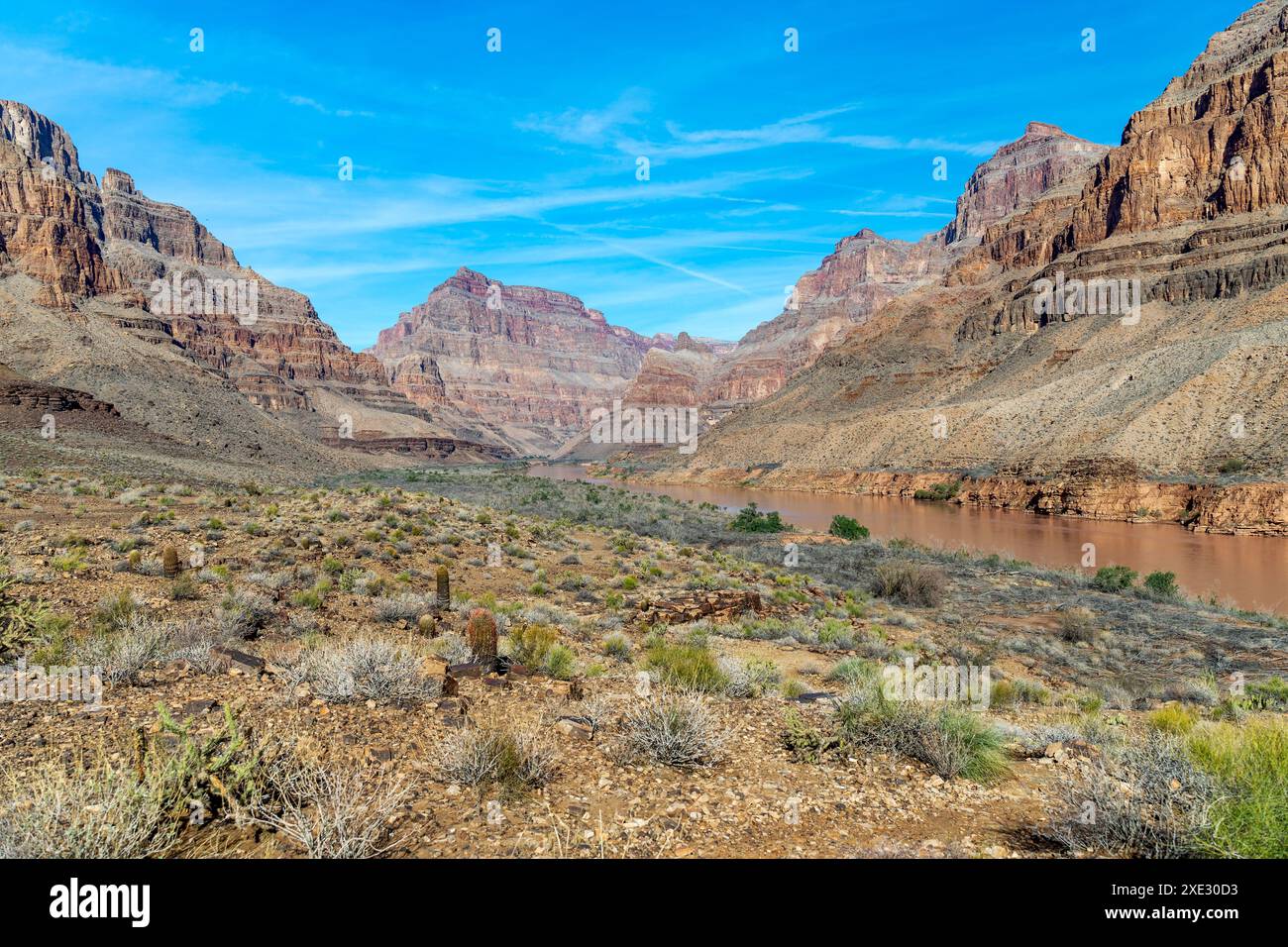 Plateau ouest du Grand Canyon - vue du fond, près du fleuve Colorado Banque D'Images