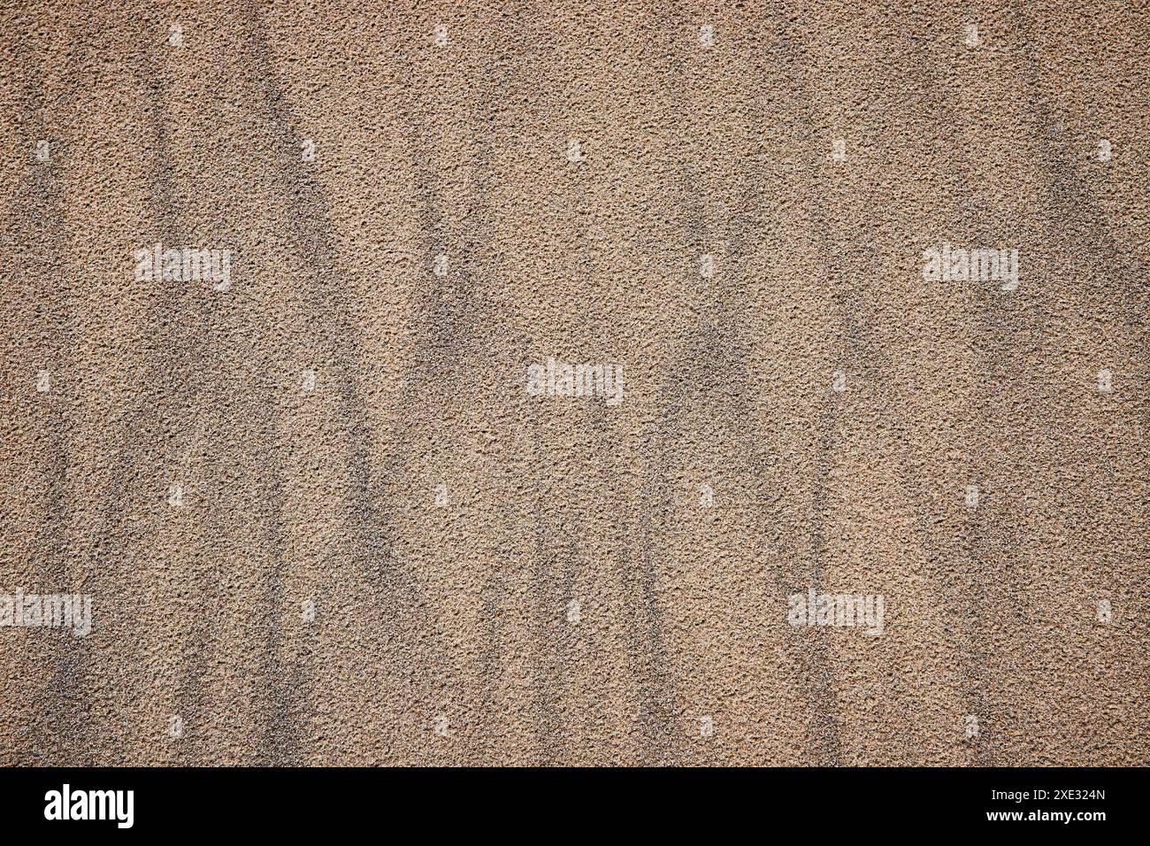 Gros plan sur la texture sable doré avec ondulations naturelles Banque D'Images