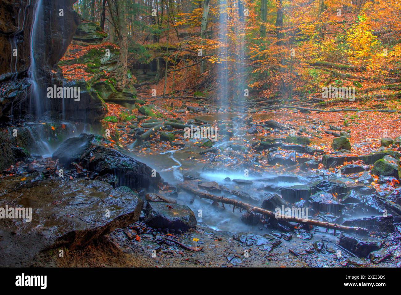 Lower Dundee Falls en automne, Beach City Wilderness Area, Ohio Banque D'Images