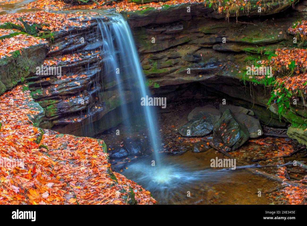 Dundee Falls en automne, Beach City Wilderness Area, Ohio Banque D'Images