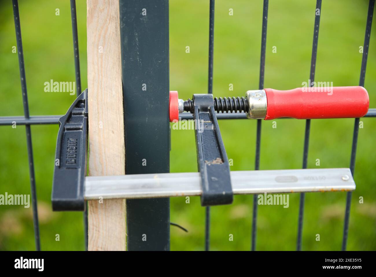 Utilisez des pinces à vis pour fixer la clôture de jardin lors de l'installation de clôtures de jardin Banque D'Images