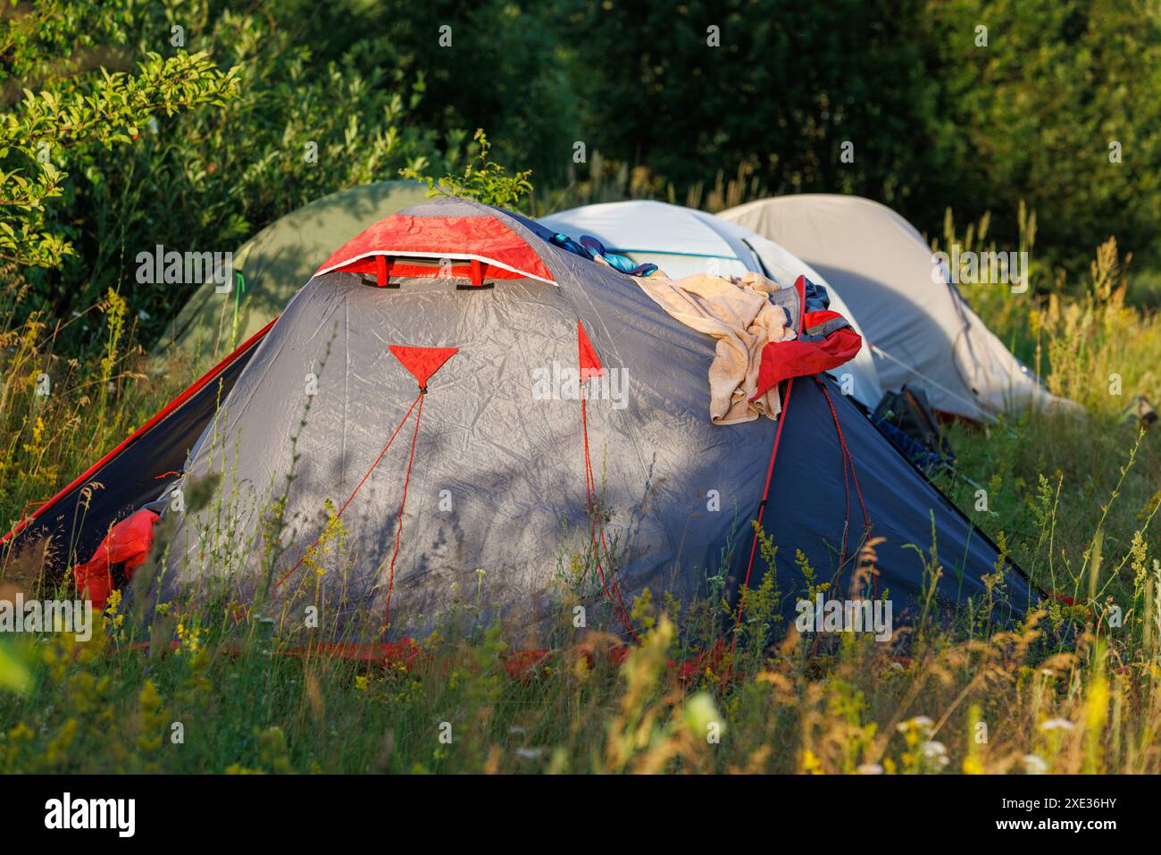 Rangée de plusieurs tentes touristiques dans la nature à la journée d'été Banque D'Images