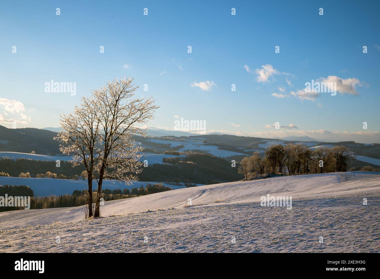 Paysage d'hiver avec givre sur les arbres et les champs. Photo prise dans la région de Rosalia, au Burgenland, en Autriche. Banque D'Images