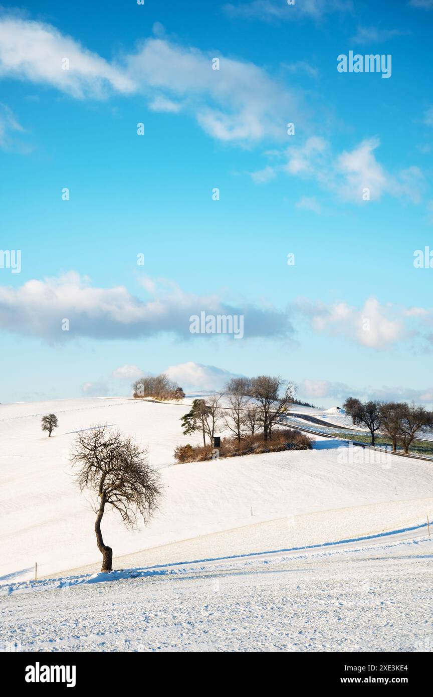 Paysage d'hiver avec des arbres gelés Autriche Banque D'Images